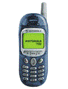 Best available price of Motorola T190 in Zimbabwe