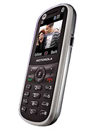 Best available price of Motorola WX288 in Zimbabwe