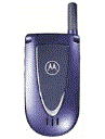 Best available price of Motorola V66i in Zimbabwe